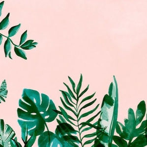 Meet your Posher, Imani